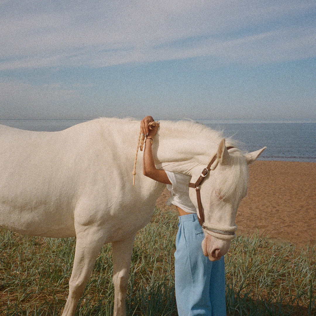 لماذا يجب أن تفهم طاقة عام 2026: سنة الحصان الناري؟
